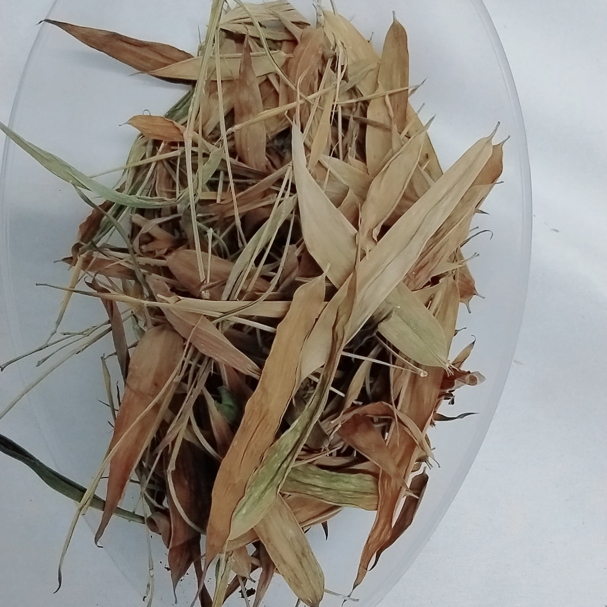 Ewe Igi Oparun/African Dried Bamboo Tree Leaves