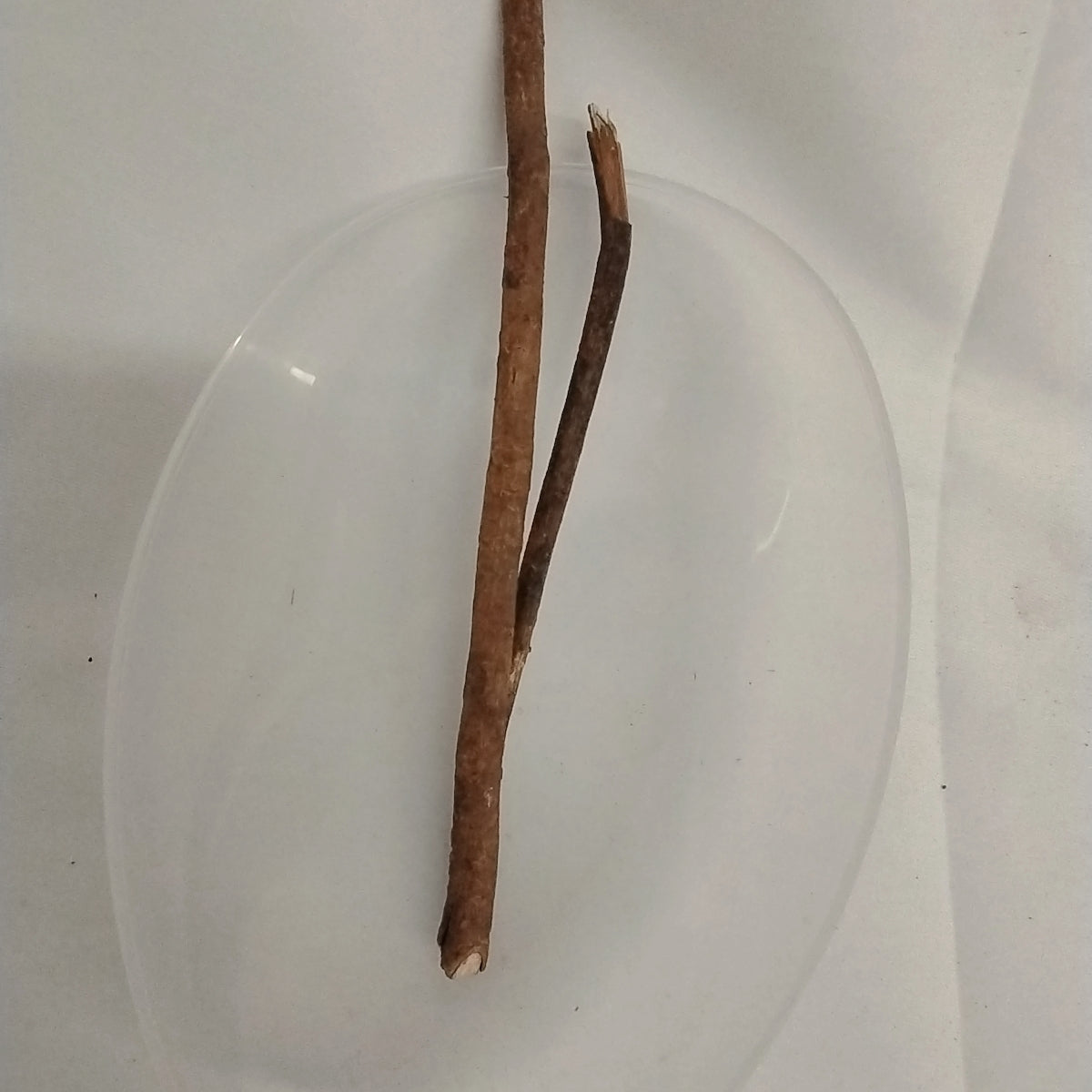 African Herbal Chewing Sticks