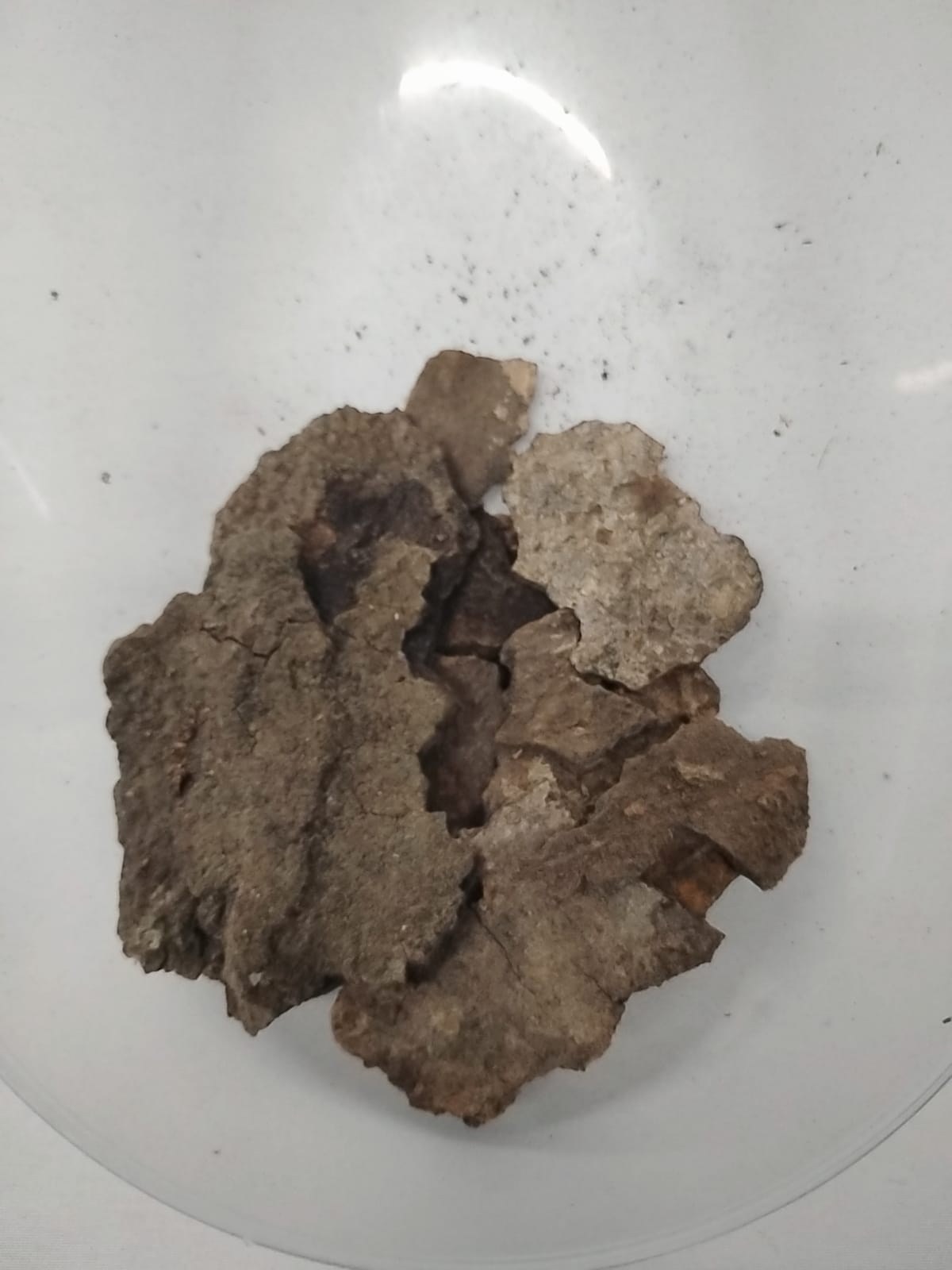 2.5oz Igi Nla/The Bark of Mysterious Tree/Asorin/2oz Igi Nla Powder