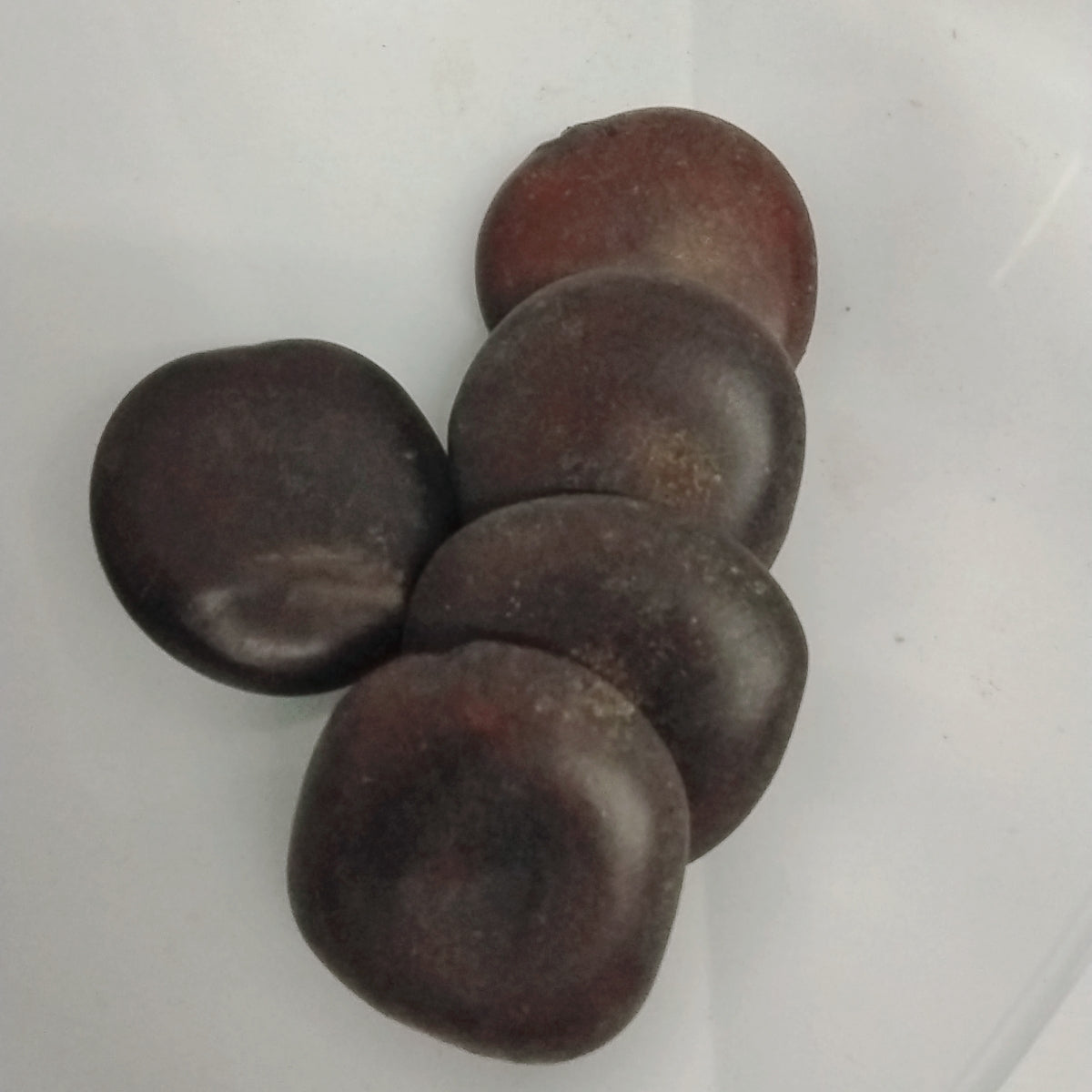 5pcs Eso Agba/Heart of Sango