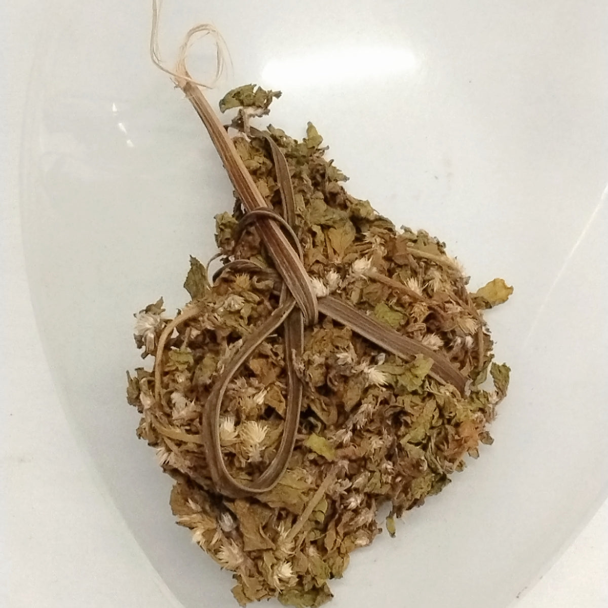 Ewe Dagunro/ Acanthospermum Hispidum