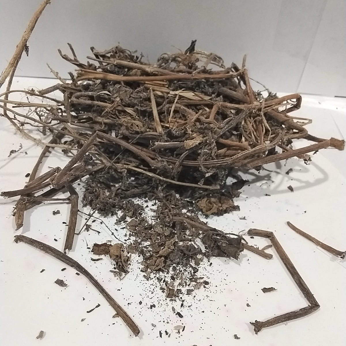 Ewe etiponla/ Hogweed/Dried spreading hogweed/Boerhaavia Diffusa