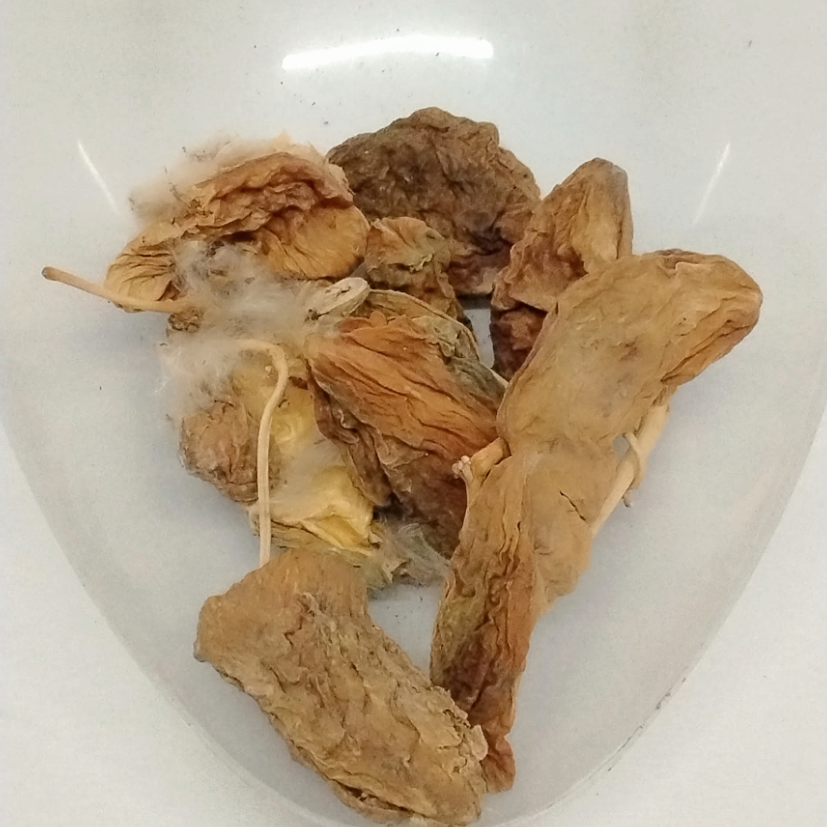 10pcs /Eso Bomubomu/Dried Seeds/African Giant Milk  Seeds