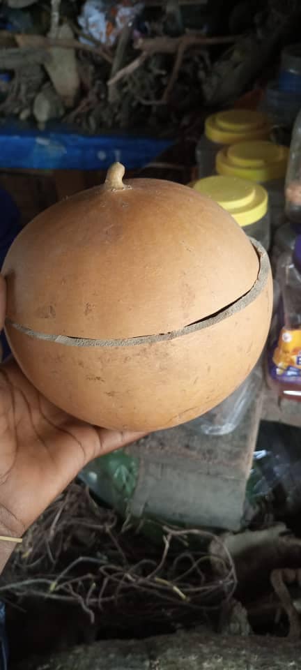 African calabash